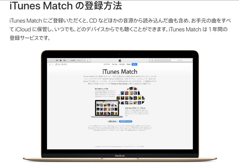 iTunes-Match